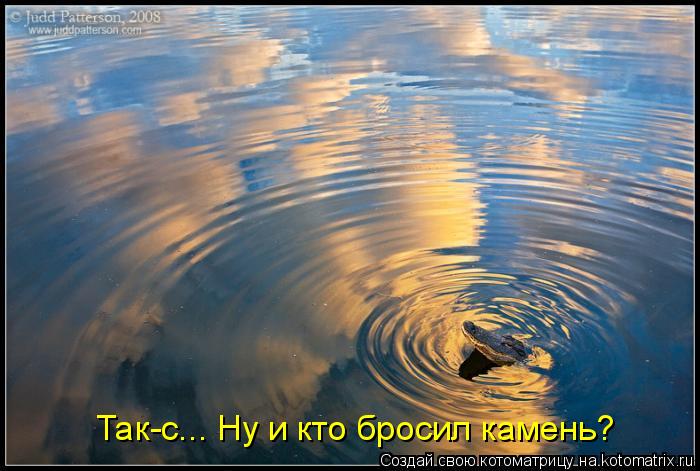 Так-с... Ну и кто бросил камень?... Котоматрица: Так-с... Ну и кто бросил камень?