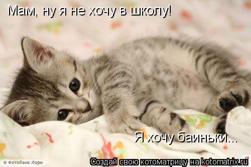 Мам, ну я не хочу в школу! Я хочу баиньки...... Котоматрица: Мам, ну я не хочу в школу! Я хочу баиньки...