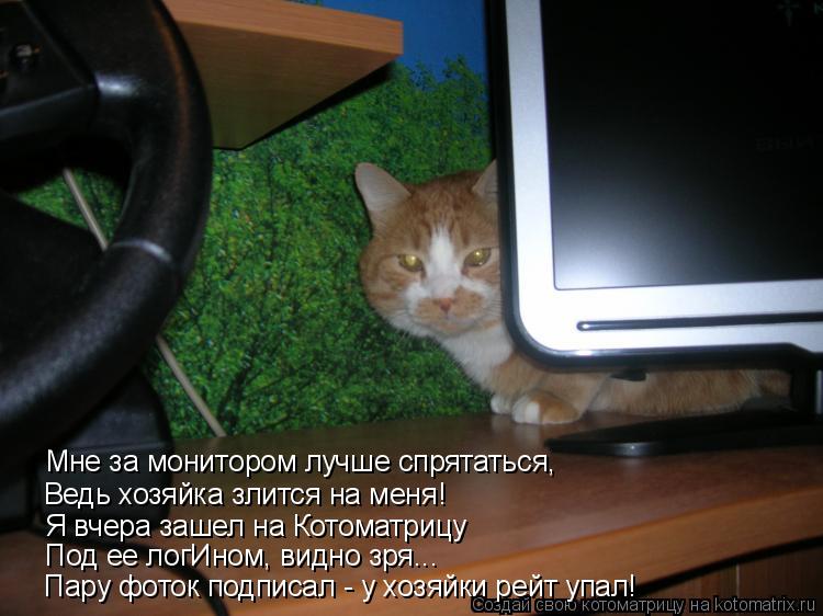 Мне за монитором лучше спрятаться, Ведь хозяйка злится на меня! Я вчера зашел на Котоматрицу Под ее л... Котоматрица: Мне за монитором лучше спрятаться, Ведь хозяйка злится на меня! Я вчера зашел на Котоматрицу Под ее логИном, видно зря... Пару фоток подписал