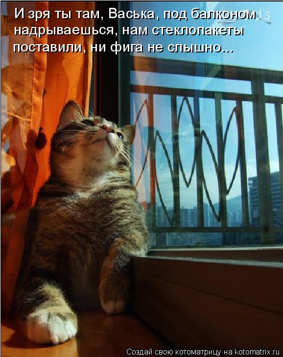 И зря ты там, Васька, под балконом надрываешься, нам стеклопакеты поставили, ни фига не слышно...... Котоматрица: И зря ты там, Васька, под балконом надрываешься, нам стеклопакеты поставили, ни фига не слышно...