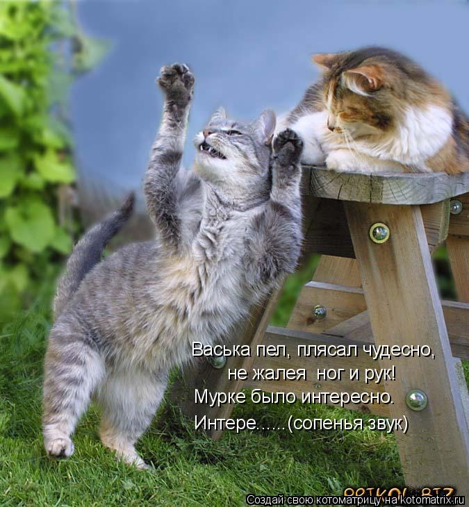 не жалея ног и рук! Васька пел, плясал чудесно, Мурке было интересно. Интере......(сопенья звук)... Котоматрица: не жалея ног и рук! Васька пел, плясал чудесно, Мурке было интересно. Интере......(сопенья звук)