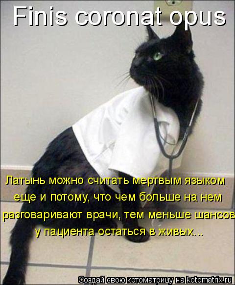 Finis coronat opus Латынь можно считать мертвым языком еще и потому, что чем больше на нем разгова... Котоматрица: Finis coronat opus Латынь можно считать мертвым языком еще и потому, что чем больше на нем разговаривают врачи, тем меньше шансов у пациента остат