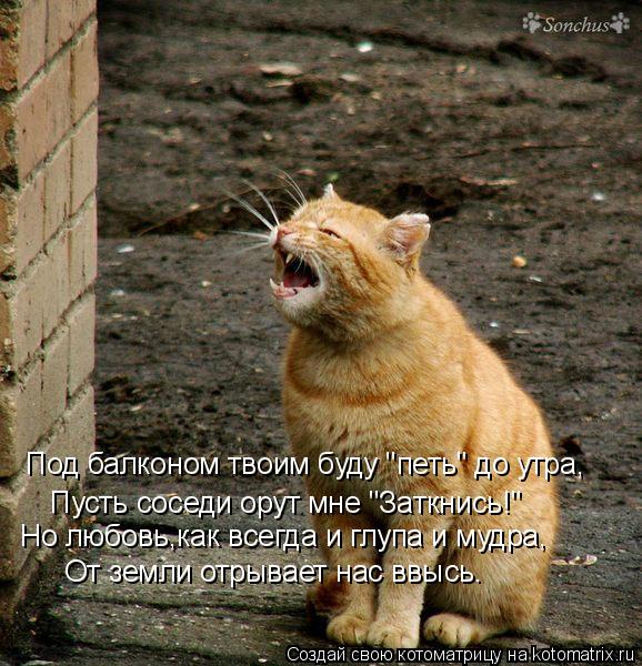 Под балконом твоим буду "петь" до утра, Пусть соседи орут мне "Заткнись!" Но любовь,как всегда и глуп... Котоматрица: Под балконом твоим буду "петь" до утра, Пусть соседи орут мне "Заткнись!" Но любовь,как всегда и глупа и мудра, От земли отрывает нас ввысь.