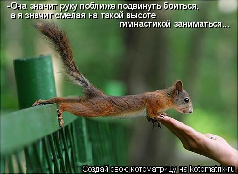 -Она значит руку поближе подвинуть боиться, а я значит смелая на такой высоте гимнастикой заниматься... Котоматрица: -Она значит руку поближе подвинуть боиться, а я значит смелая на такой высоте гимнастикой заниматься...