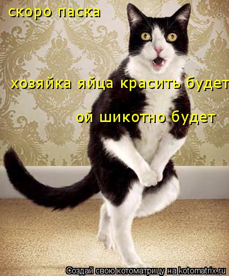 скоро паска хозяйка яйца красить будет ой шикотно будет... Котоматрица: скоро паска хозяйка яйца красить будет ой шикотно будет