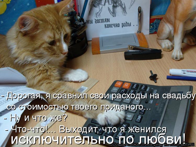 - Ну и что же? - Дорогая, я сравнил свои расходы на свадьбу со стоимостью твоего приданого... со сто... Котоматрица: - Ну и что же? - Дорогая, я сравнил свои расходы на свадьбу со стоимостью твоего приданого... со стоимостью твоего приданого... - Что-что!... Выхо