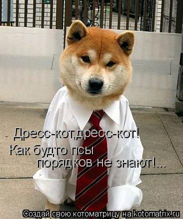 Дресс-кот,дресс-кот! Как будто псы порядков не знают!...... Котоматрица: Дресс-кот,дресс-кот! Как будто псы порядков не знают!...