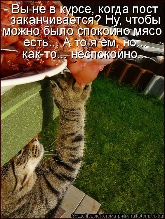 - Вы не в курсе, когда пост заканчивается? Ну, чтобы можно было спокойно мясо есть... А то я ем, но... Котоматрица: - Вы не в курсе, когда пост заканчивается? Ну, чтобы можно было спокойно мясо есть... А то я ем, но... как-то... неспокойно. есть... А то я ем, но..