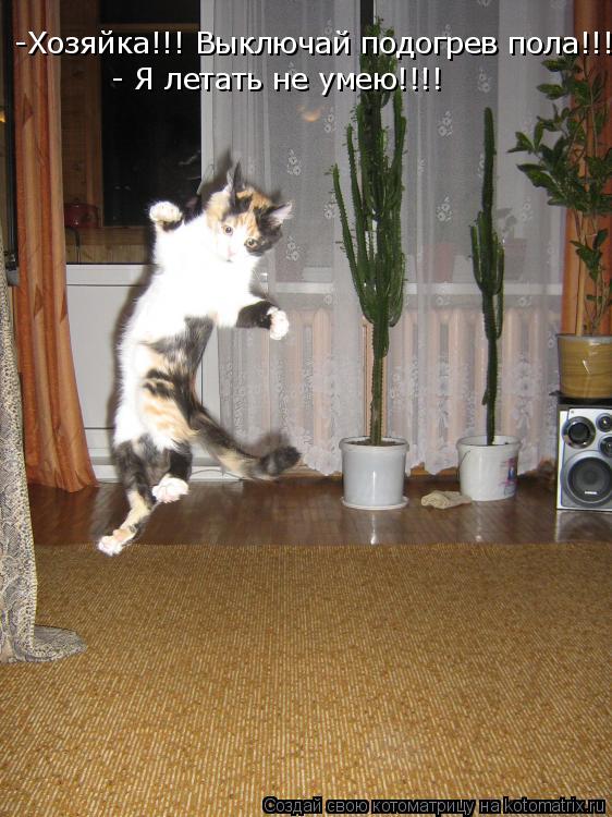 -Хозяйка!!! Выключай подогрев пола!!!! - Я летать не умею!!!!... Котоматрица: -Хозяйка!!! Выключай подогрев пола!!!! - Я летать не умею!!!!