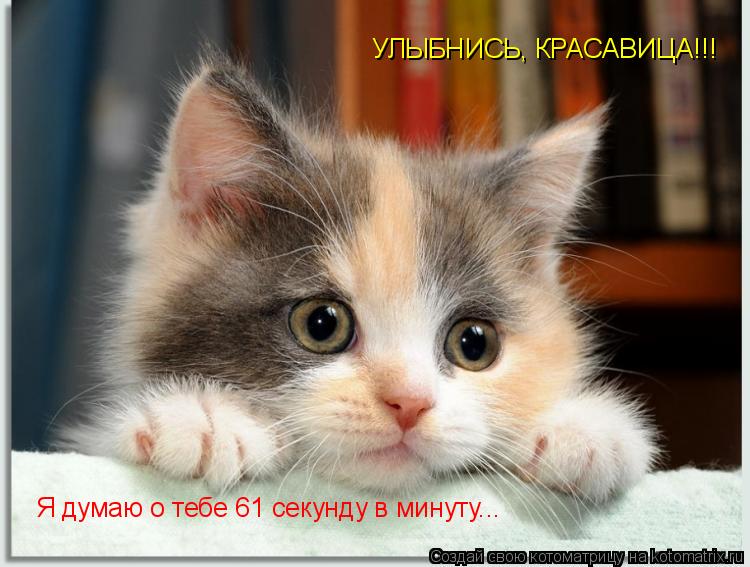 УЛЫБНИСЬ, КРАСАВИЦА!!! Я думаю о тебе 61 секунду в минуту...... Котоматрица: УЛЫБНИСЬ, КРАСАВИЦА!!! Я думаю о тебе 61 секунду в минуту...