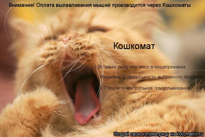 Внимание! Оплата вылавливания мышей производится через Кошкоматы Кошкомат 1.Вставьте рыбу или мясо в ... Котоматрица: Внимание! Оплата вылавливания мышей производится через Кошкоматы Кошкомат 1.Вставьте рыбу или мясо в пищепреемник 2. Убедитесь в правильно