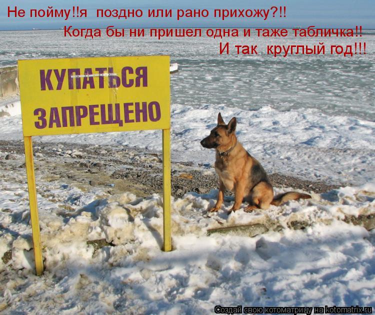 Не пойму!!я поздно или рано прихожу?!! Когда бы ни пришел одна и таже табличка!! И так круглый год!... Котоматрица: Не пойму!!я поздно или рано прихожу?!! Когда бы ни пришел одна и таже табличка!! И так круглый год!!!