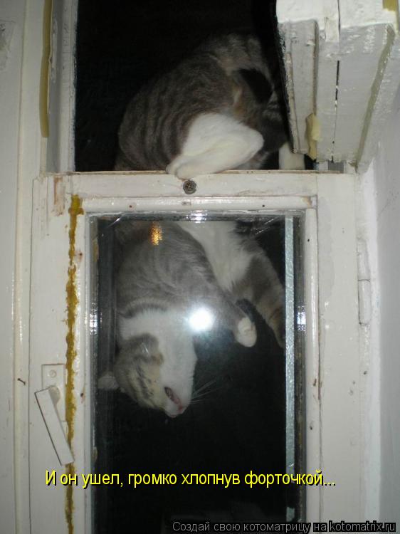 Котоматрица: И он ушел, громко хлопнув форточкой...