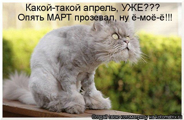 Котоматрица: Опять МАРТ прозевал, ну ё-моё-ё!!! Какой-такой апрель, УЖЕ???