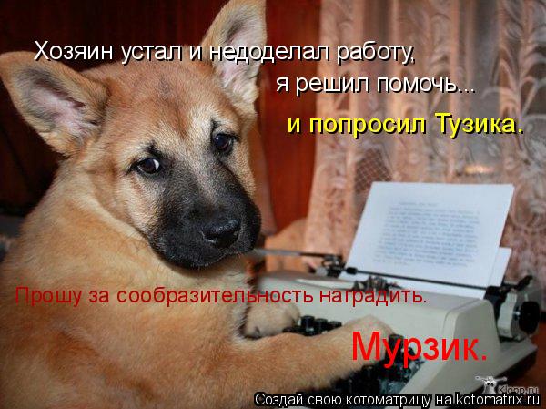 Хозяин устал и недоделал работу, я решил помочь... и попросил Тузика. Прошу за сообразительность нагр... Котоматрица: Хозяин устал и недоделал работу, я решил помочь... и попросил Тузика. Прошу за сообразительность наградить. Мурзик.