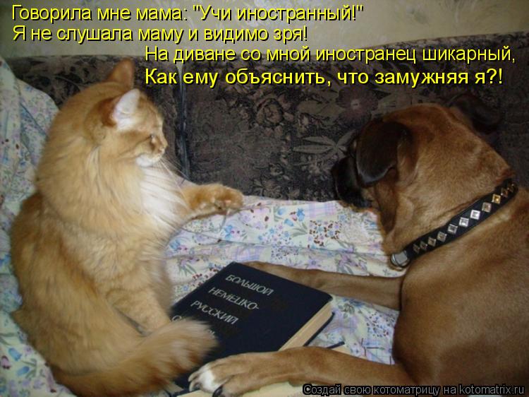 Говорила мне мама: "Учи иностранный!" На диване со мной иностранец шикарный, Как ему объяснить, что з... Котоматрица: Говорила мне мама: "Учи иностранный!" На диване со мной иностранец шикарный, Как ему объяснить, что замужняя я?! Я не слушала маму и видимо зря