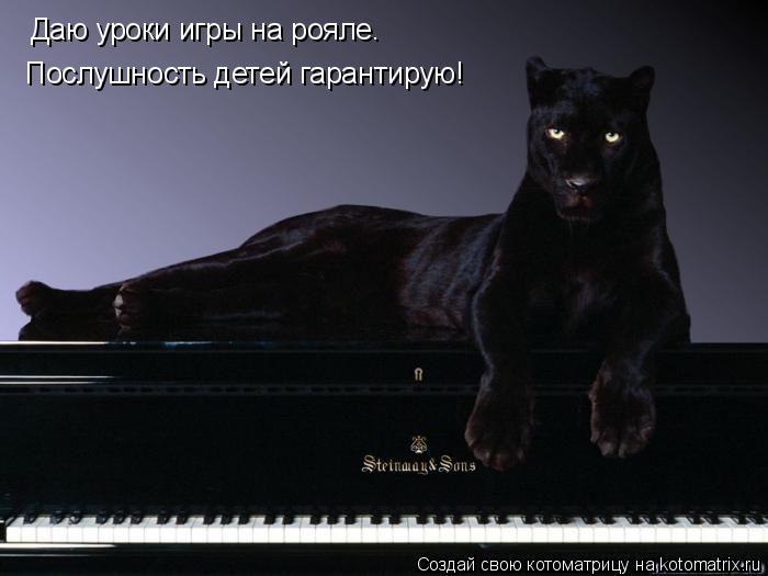 Даю уроки игры на рояле. Послушность детей гарантирую!... Котоматрица: Даю уроки игры на рояле. Послушность детей гарантирую!