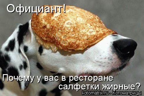 Официант! Почему у вас в ресторане салфетки жирные?... Котоматрица: Официант! Почему у вас в ресторане салфетки жирные?