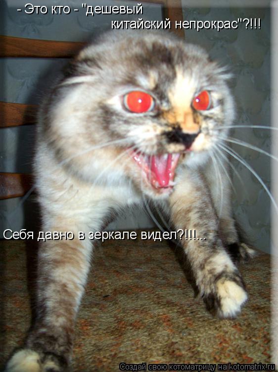 китайский непрокрас"?!!! Себя давно в зеркале видел?!!!... - Это кто - "дешевый... Котоматрица: китайский непрокрас"?!!! Себя давно в зеркале видел?!!!... - Это кто - "дешевый