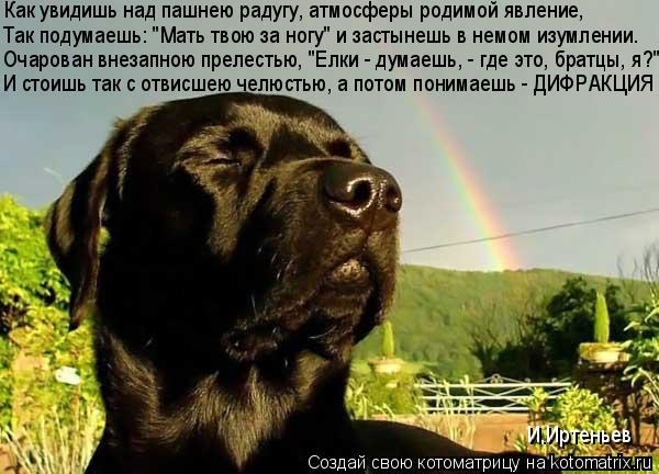 И стоишь так с отвисшею челюстью, а потом понимаешь - ДИФРАКЦИЯ Как увидишь над пашнею радугу, атмосф... Котоматрица: И стоишь так с отвисшею челюстью, а потом понимаешь - ДИФРАКЦИЯ Как увидишь над пашнею радугу, атмосферы родимой явление, Очарован внезапно