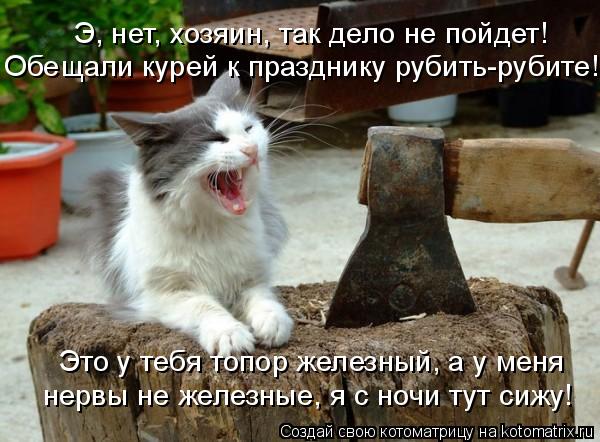 Э, нет, хозяин, так дело не пойдет! Обещали курей к празднику рубить-рубите! Это у тебя топор железны... Котоматрица: Э, нет, хозяин, так дело не пойдет! Обещали курей к празднику рубить-рубите! Это у тебя топор железный, а у меня нервы не железные, я с ночи тут