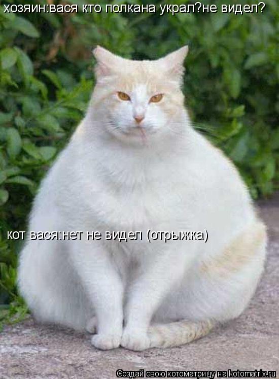 Котоматрица: хозяин:вася кто полкана украл?не видел? кот вася:нет не видел (отрыжка)