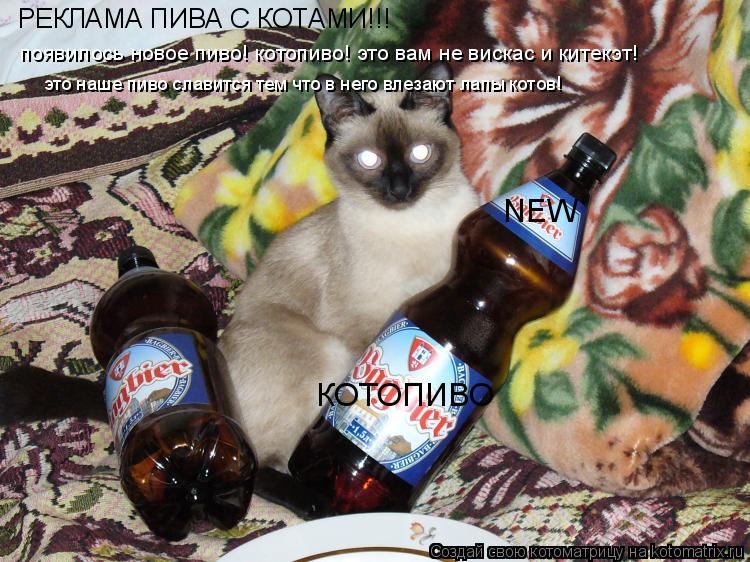 РЕКЛАМА ПИВА С КОТАМИ!!! появилось новое пиво! котопиво! это вам не вискас и китекэт! КОТОПИВО NEW эт... Котоматрица: РЕКЛАМА ПИВА С КОТАМИ!!! появилось новое пиво! котопиво! это вам не вискас и китекэт! КОТОПИВО NEW это наше пиво славится тем что в него влезают