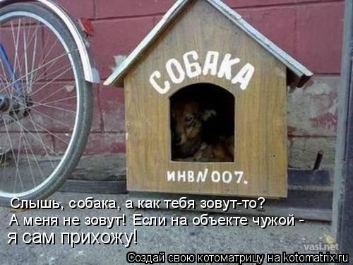 Слышь, собака, а как тебя зовут-то? А меня не зовут! Если на объекте чужой - я сам прихожу!... Котоматрица: Слышь, собака, а как тебя зовут-то? А меня не зовут! Если на объекте чужой - я сам прихожу!