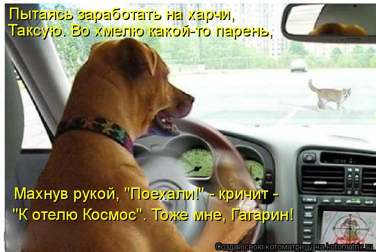 Пытаясь заработать на харчи, Таксую. Во хмелю какой-то парень, Махнув рукой, "Поехали!" - кричит - "... Котоматрица: Пытаясь заработать на харчи, Таксую. Во хмелю какой-то парень, Махнув рукой, "Поехали!" - кричит - "К отелю Космос"… Тоже мне, Гагарин!