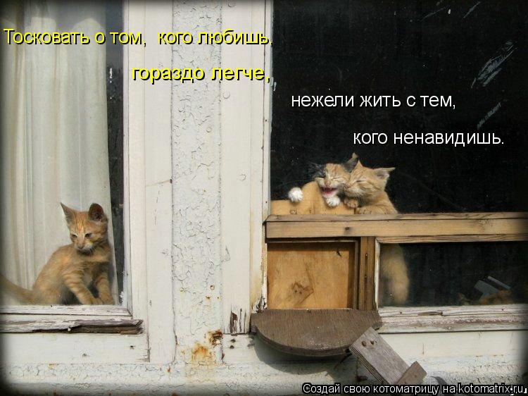 нежели жить с тем, кого ненавидишь. Тосковать о том, кого любишь, гораздо легче,... Котоматрица: нежели жить с тем, кого ненавидишь. Тосковать о том, кого любишь, гораздо легче,