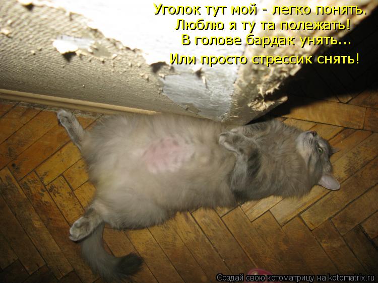 Или просто стрессик снять! Уголок тут мой - легко понять. Люблю я ту та полежать! В голове бардак уня... Котоматрица: Или просто стрессик снять! Уголок тут мой - легко понять. Люблю я ту та полежать! В голове бардак унять...