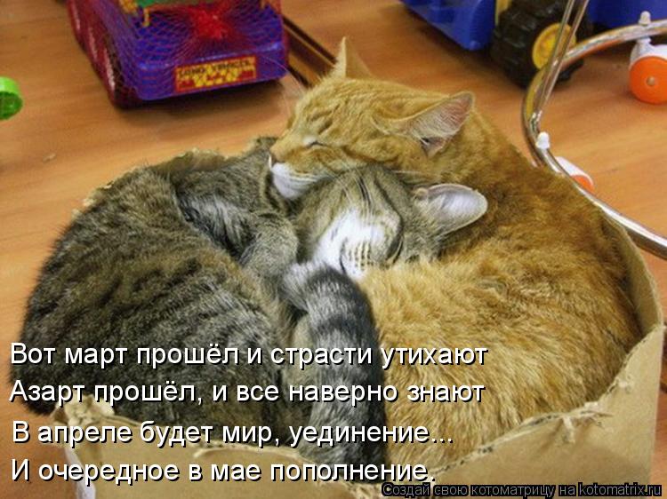 Азарт прошёл, и все наверно знают В апреле будет мир, уединение... И очередное в мае пополнение. Вот ... Котоматрица: Азарт прошёл, и все наверно знают В апреле будет мир, уединение... И очередное в мае пополнение. Вот март прошёл и страсти утихают