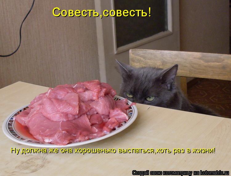 Совесть,совесть! Ну должна же она хорошенько выспаться,хоть раз в жизни!... Котоматрица: Совесть,совесть! Ну должна же она хорошенько выспаться,хоть раз в жизни!