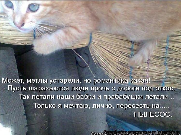 Может, метлы устарели, но романтика какая! Пусть шарахаются люди прочь с дороги под откос. Так лета... Котоматрица: Может, метлы устарели, но романтика какая! Пусть шарахаются люди прочь с дороги под откос. Так летали наши бабки и прабабушки летали... Толь