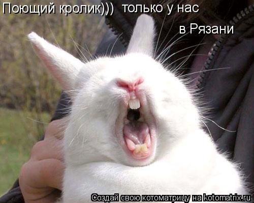 Котоматрица: Поющий кролик))) только у нас  в Рязани