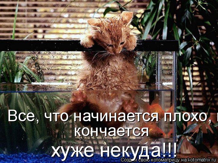 Котоматрица: Все, что начинается плохо, кончается хуже некуда. кончается  хуже некуда!!!