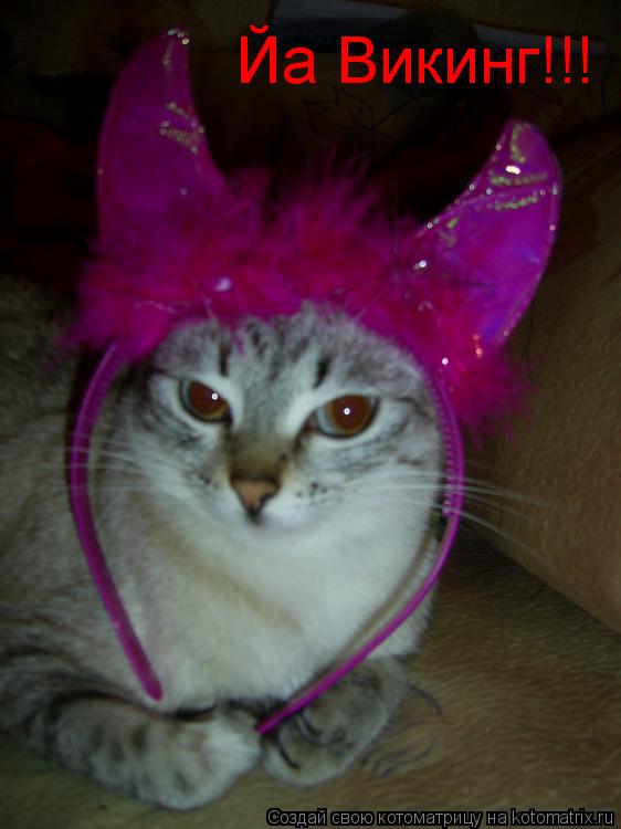 Йа Викинг!!!... Котоматрица: Йа Викинг!!!