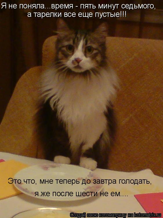 Я не поняла...время - пять минут седьмого, а тарелки все еще пустые!!! Это что, мне теперь до завтра ... Котоматрица: Я не поняла...время - пять минут седьмого, а тарелки все еще пустые!!! Это что, мне теперь до завтра голодать, я же после шести не ем....