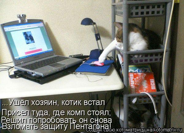 Котоматрица: ...Ушёл хозяин, котик встал Присел туда, где комп стоял; Решил попробовать он снова Взломать защиту Пентагона!