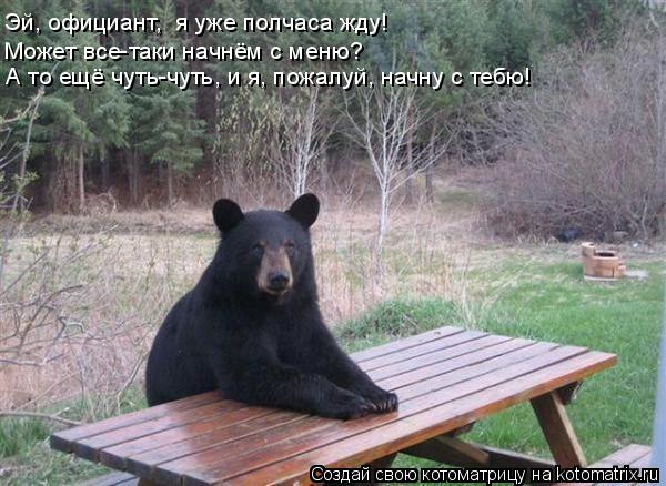 Эй, официант, я уже полчаса жду! Может все-таки начнём с меню? А то ещё чуть-чуть, и я, пожалуй, н... Котоматрица: Эй, официант, я уже полчаса жду! Может все-таки начнём с меню? А то ещё чуть-чуть, и я, пожалуй, начну с тебю!