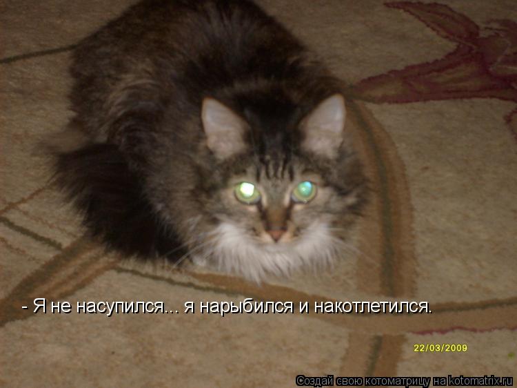 - Я не насупился... я нарыбился и накотлетился.... Котоматрица: - Я не насупился... я нарыбился и накотлетился.