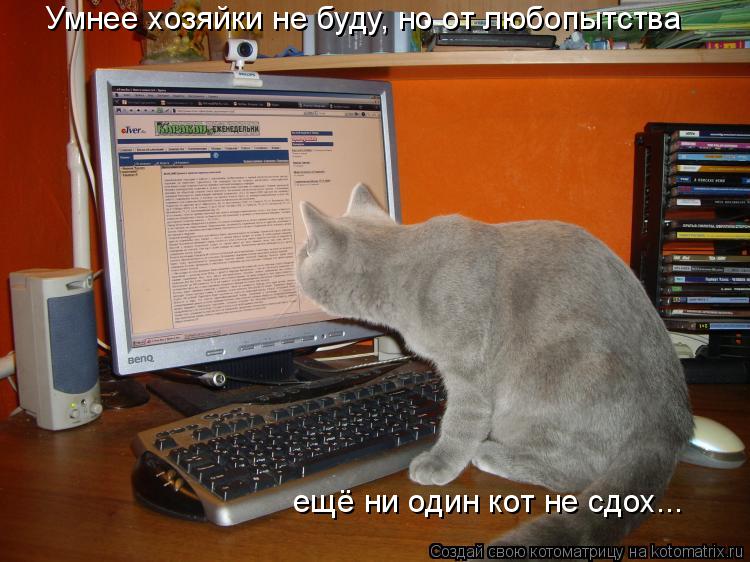 Умнее хозяйки не буду, но от любопытства ещё ни один кот не сдох...... Котоматрица: Умнее хозяйки не буду, но от любопытства ещё ни один кот не сдох...