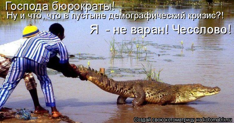 Господа бюрократы! Ну и что, что в пустыне демографический кризис?! Я - не варан! Чесслово!... Котоматрица: Господа бюрократы! Ну и что, что в пустыне демографический кризис?! Я - не варан! Чесслово!