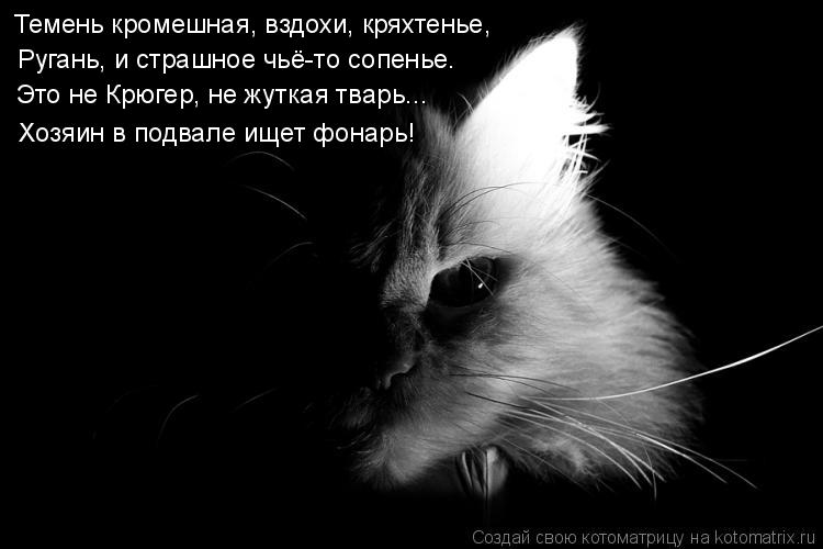 Темень кромешная, вздохи, кряхтенье, Ругань, и страшное чьё-то сопенье. Это не Крюгер, не жуткая тва... Котоматрица: Темень кромешная, вздохи, кряхтенье, Ругань, и страшное чьё-то сопенье. Это не Крюгер, не жуткая тварь... Хозяин в подвале ищет фонарь!