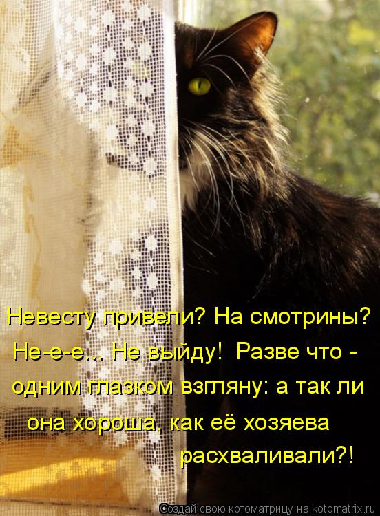 Невесту привели? На смотрины? Не-е-е... Не выйду! Разве что - одним глазком взгляну: а так ли она... Котоматрица: Невесту привели? На смотрины? Не-е-е... Не выйду! Разве что - одним глазком взгляну: а так ли она хороша, как её хозяева расхваливали?!