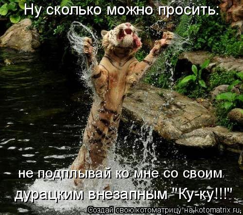 Ну сколько можно просить: не подплывай ко мне со своим дурацким внезапным "Ку-ку!!!"... Котоматрица: Ну сколько можно просить: не подплывай ко мне со своим дурацким внезапным "Ку-ку!!!"