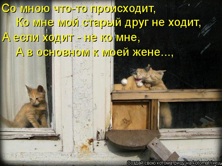 Со мною что-то происходит, Ко мне мой старый друг не ходит, А если ходит - не ко мне, А в основном к ... Котоматрица: Со мною что-то происходит, Ко мне мой старый друг не ходит, А если ходит - не ко мне, А в основном к моей жене...,