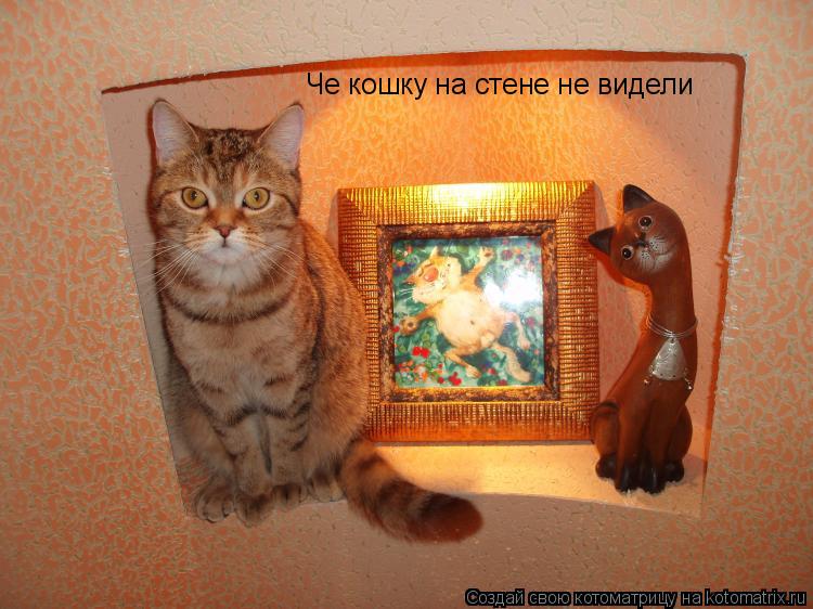 Че кошку на стене не видели... Котоматрица: Че кошку на стене не видели