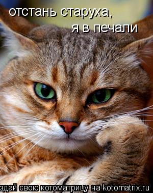 Котоматрица: отстань старуха, я в печали