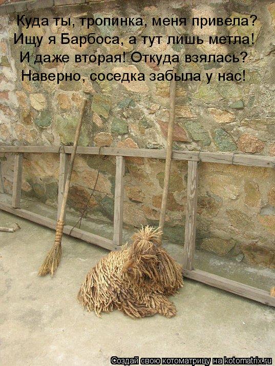 Куда ты, тропинка, меня привела? Ищу я Барбоса, а тут лишь метла! И даже вторая! Откуда взялась? Наве... Котоматрица: Куда ты, тропинка, меня привела? Ищу я Барбоса, а тут лишь метла! И даже вторая! Откуда взялась? Наверно, соседка забыла у нас!